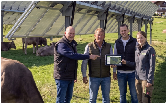 Vier Energielandwirte mit Tablet vor einer Agri-PV-Anlage mit Rindern