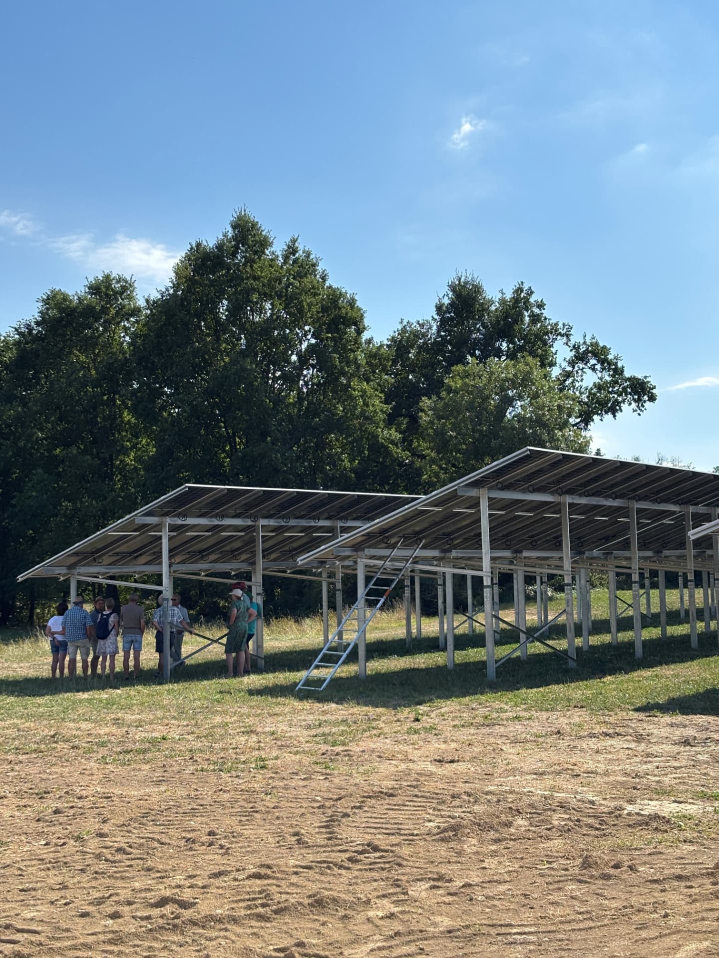 Besuchergruppe im Gespräch unter den Modultischen unserer Agri-PV-Anlage